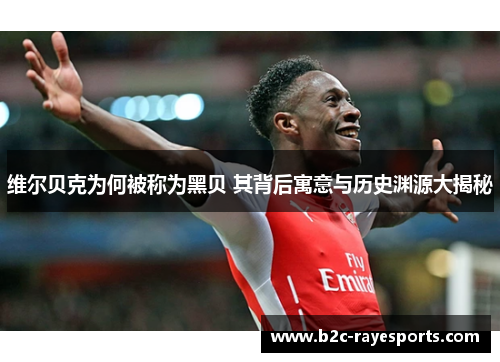 维尔贝克为何被称为黑贝 其背后寓意与历史渊源大揭秘 维尔贝克为何被称为黑贝 其背后寓意与历史渊源大揭秘